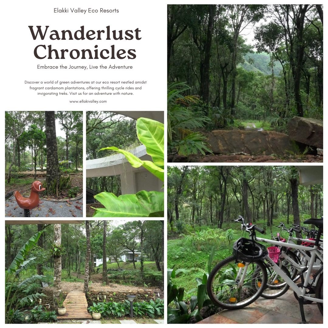 Hospitality social media design with editorial serif typography over a misty plantation landscape