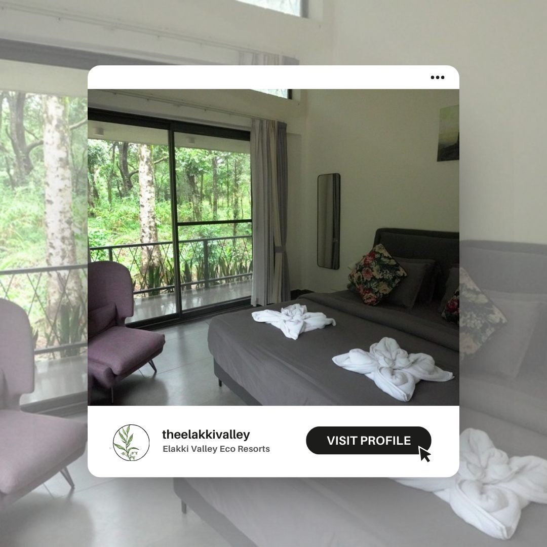 Ellaki Valley social media design and art direction by Sharadhvi Patel